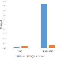 E(z) | Histone-lysine N-methyltransferase E(z) in the group Antibodies Human Research / Epigenetics/DNA Methylation at Agrisera AB (Antibodies for research) (AS16 3935)